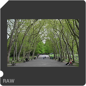 RAW sample