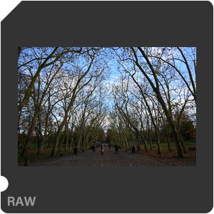 Nikon Z f + Nikkor Z 28mm f/2.8. Примеры RAW файлов