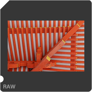 RAW sample