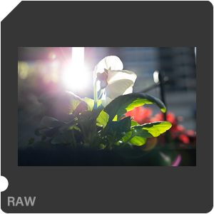 RAW sample