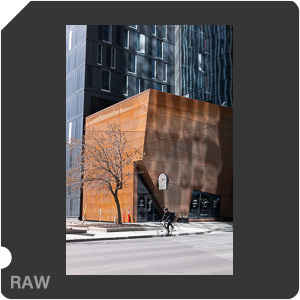 RAW sample