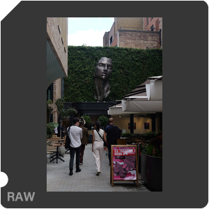 RAW sample