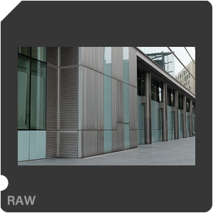 RAW sample