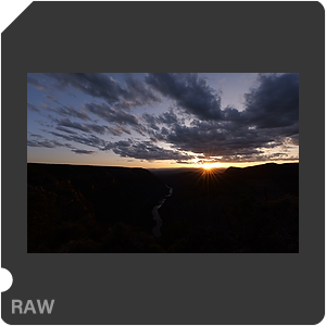 RAW sample