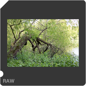 RAW sample