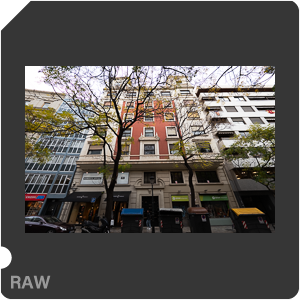 RAW sample