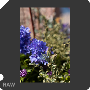 RAW sample