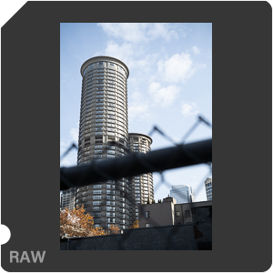 RAW sample