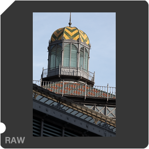 RAW sample