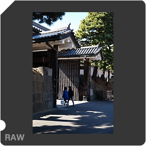 RAW sample