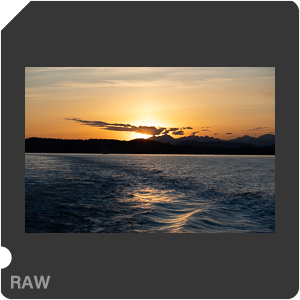 RAW sample