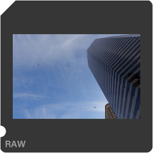 RAW sample
