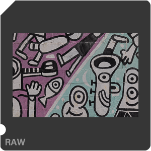 RAW sample