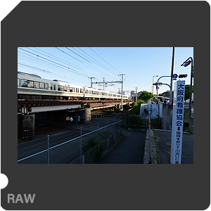 RAW sample