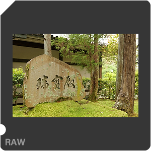 RAW sample