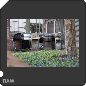 RAW sample