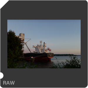 RAW sample