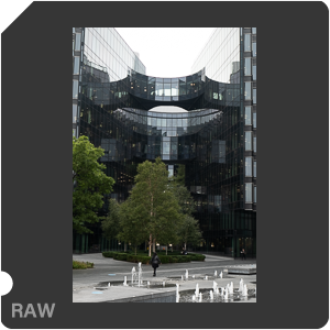 RAW sample