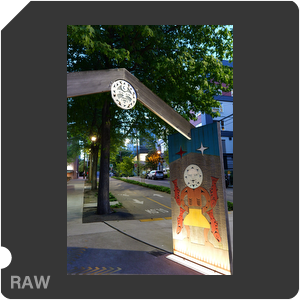 RAW sample