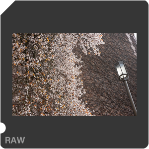 RAW sample