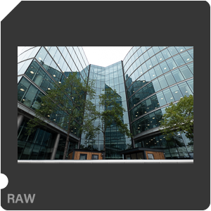RAW sample