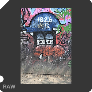 RAW sample