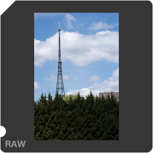 RAW sample