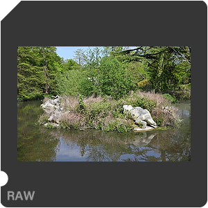 RAW sample