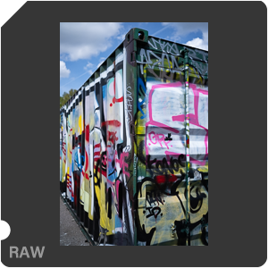 RAW sample