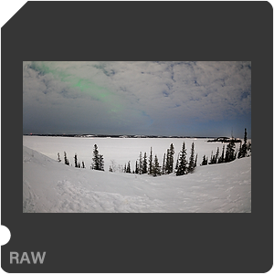 RAW sample