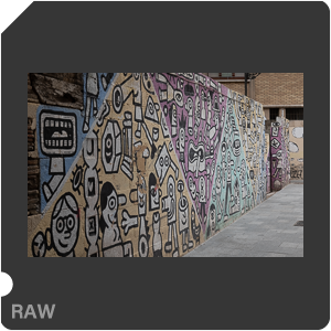 RAW sample