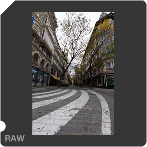 RAW sample