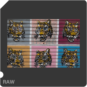 RAW sample