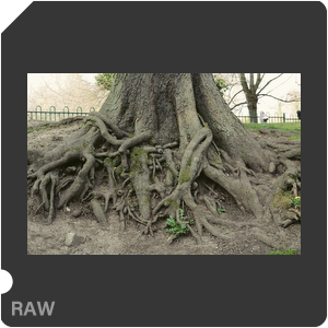 RAW sample