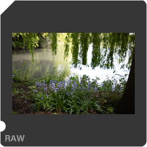 RAW sample