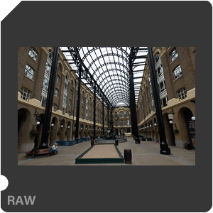 RAW sample