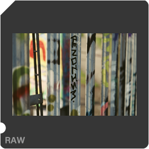 RAW sample