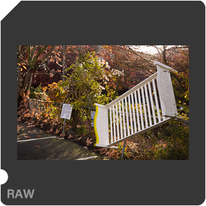 RAW sample