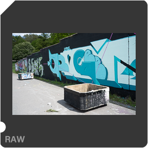 RAW sample