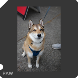 RAW sample
