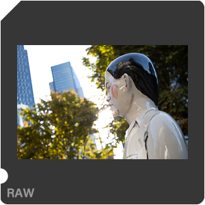 RAW sample