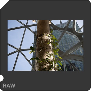 RAW sample