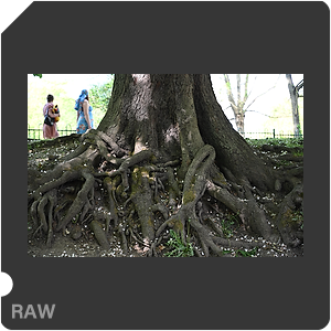 RAW sample