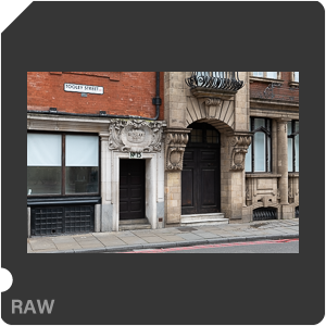RAW sample