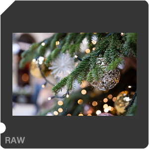 RAW sample