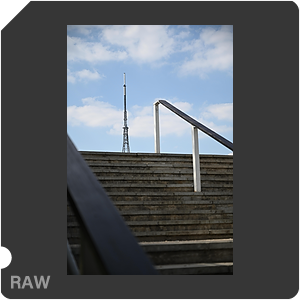 RAW sample