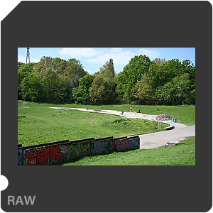 RAW sample