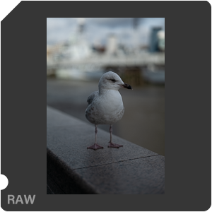 RAW sample
