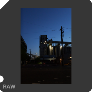 RAW sample
