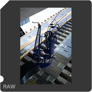 RAW sample